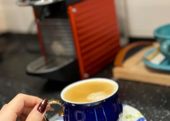 Phoenicia Baneasa Hotel 4*