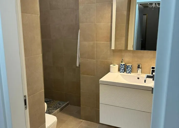 Phoenicia Baneasa 4* 부쿠레슈티
